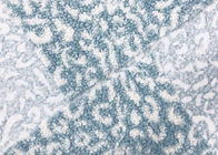 Van het de Stoffenfluweel van de cirkellijn Zachte Algemene de Polyestervacht Blauwe Witte 340GSM
